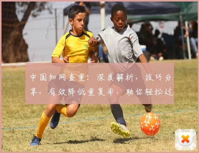 中国知网查重：深度解析，技巧分享，有效降低重复率，助你轻松过查重