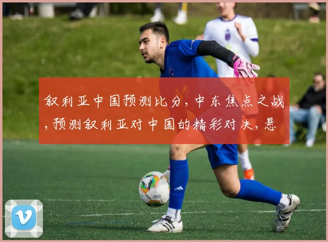 叙利亚中国预测比分,中东焦点之战,预测叙利亚对中国的精彩对决,悬念重重