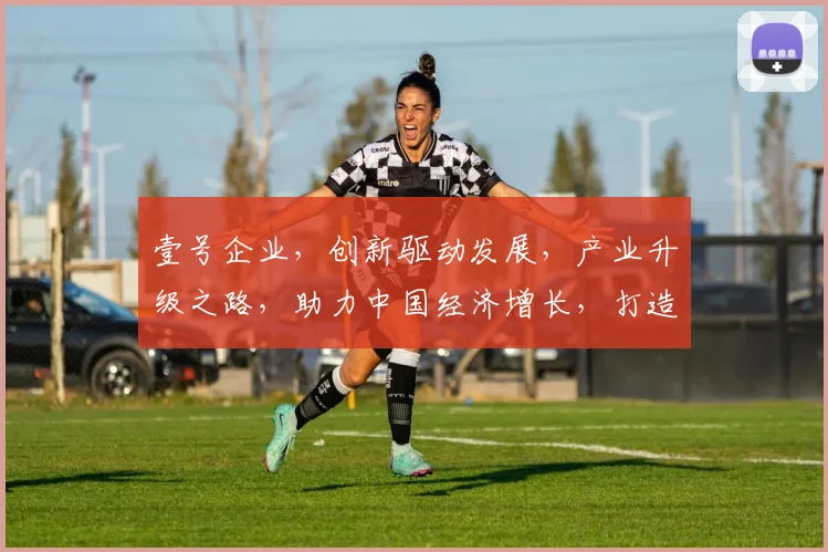 壹号企业，创新驱动发展，产业升级之路，助力中国经济增长，打造行业标杆，共赢未来。